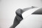 Heck Spoiler Aufsatz Abrisskante 3D passend für VW Golf GTI / GTE / GTD / R-Line / R Mk8 schwarz Hochglanz