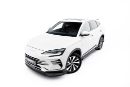 Cup Spoilerlippe Front Ansatz V.2 passend für BYD...